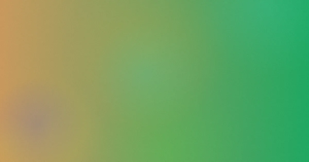 疯狂的背后怎么用才值